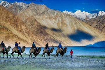 8 Days Ladakh Tours