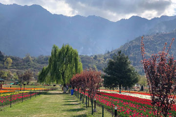 Jammu – Srinagar-Sonmarg-Pahalgam-Gulmarg